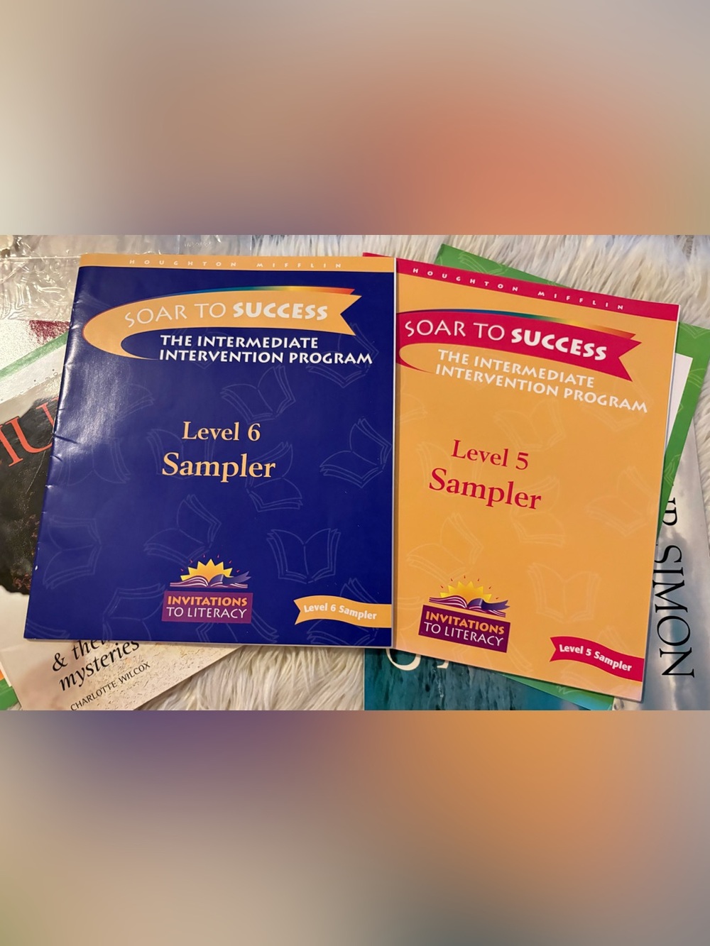 Houghton Mifflin Soar to Success Level 5 & 6 Sampler Teacher’s Manual & Books